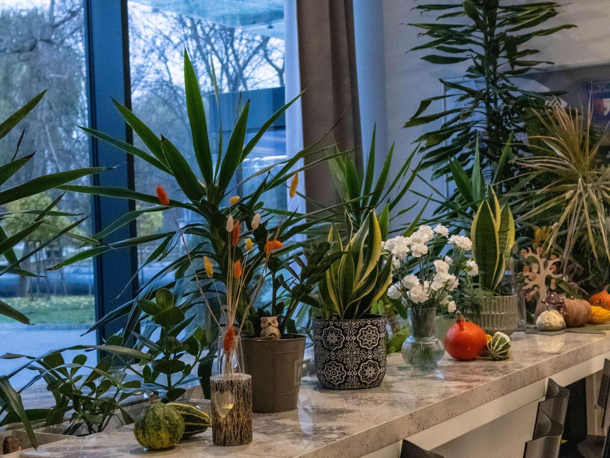 Ibis Styles Bialystok Otel Dış mekan fotoğraf